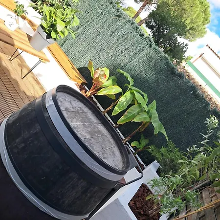 , Quartier Pinede Au Cap D'agde 阿格德