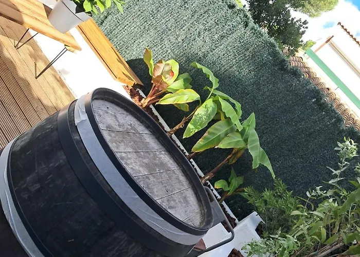 , Quartier Pinede Au Cap D'agde אגדה